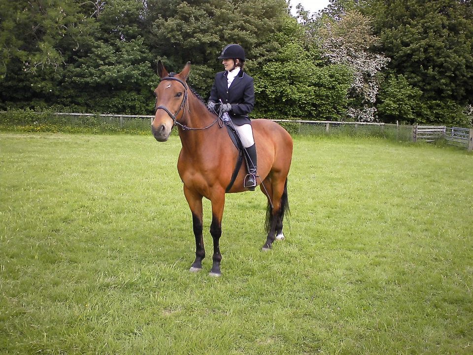 Results of a study looking into rider back pain, pressure and the TCS v's a treed saddle
