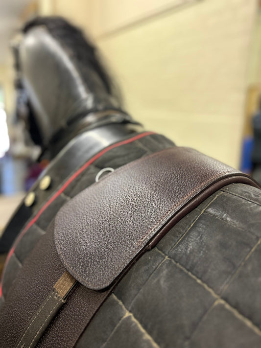 We took the TCS to ride Amelia Wilbourn's mechanical horses