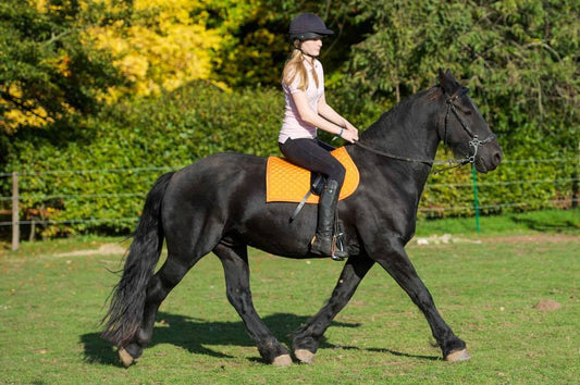 One size really does 'fit all' and it can save you money as well as provide you with a better riding horse experience