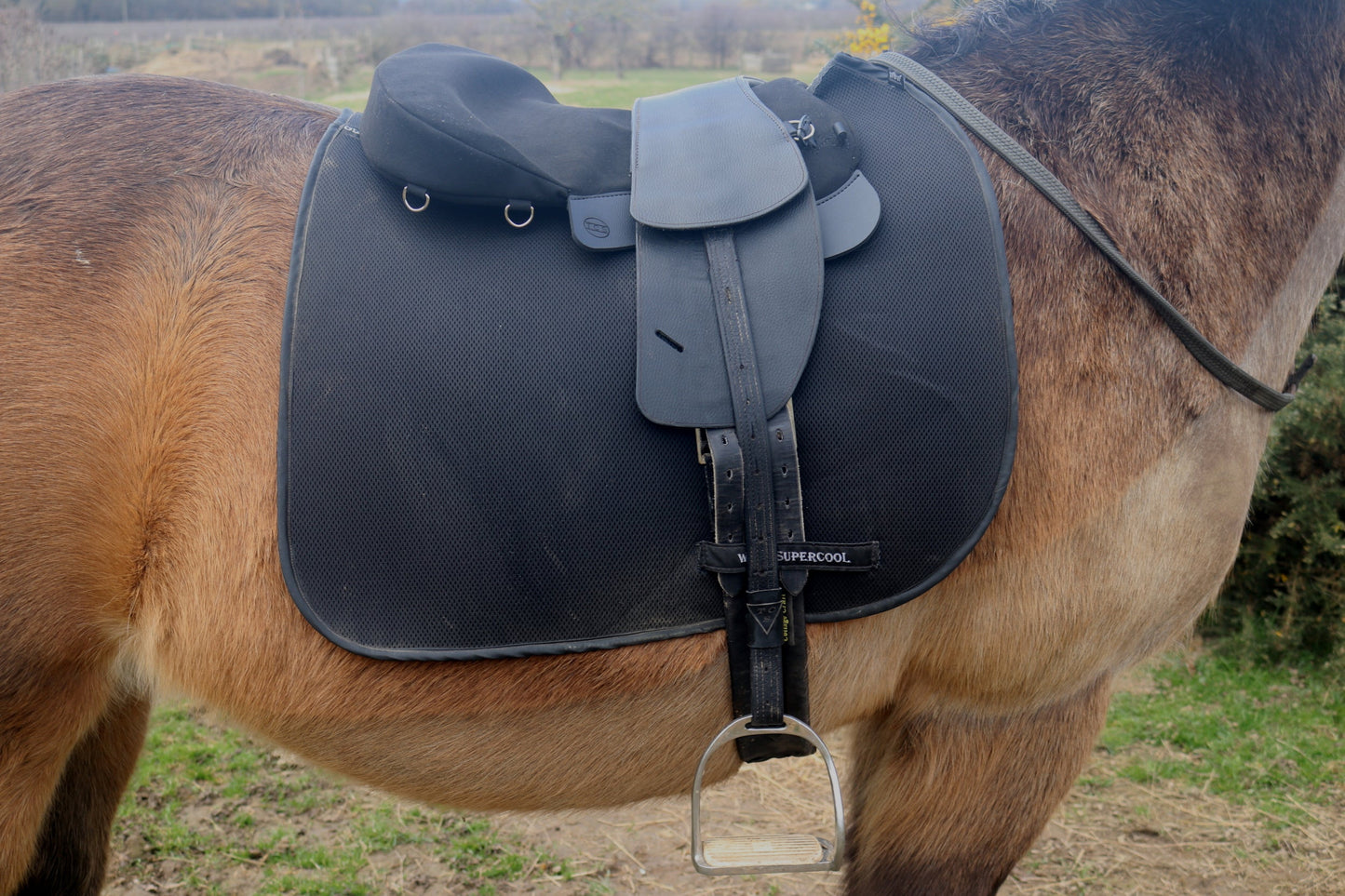 Ex Trial Saddle Seat Pad for your Total Contact Saddle