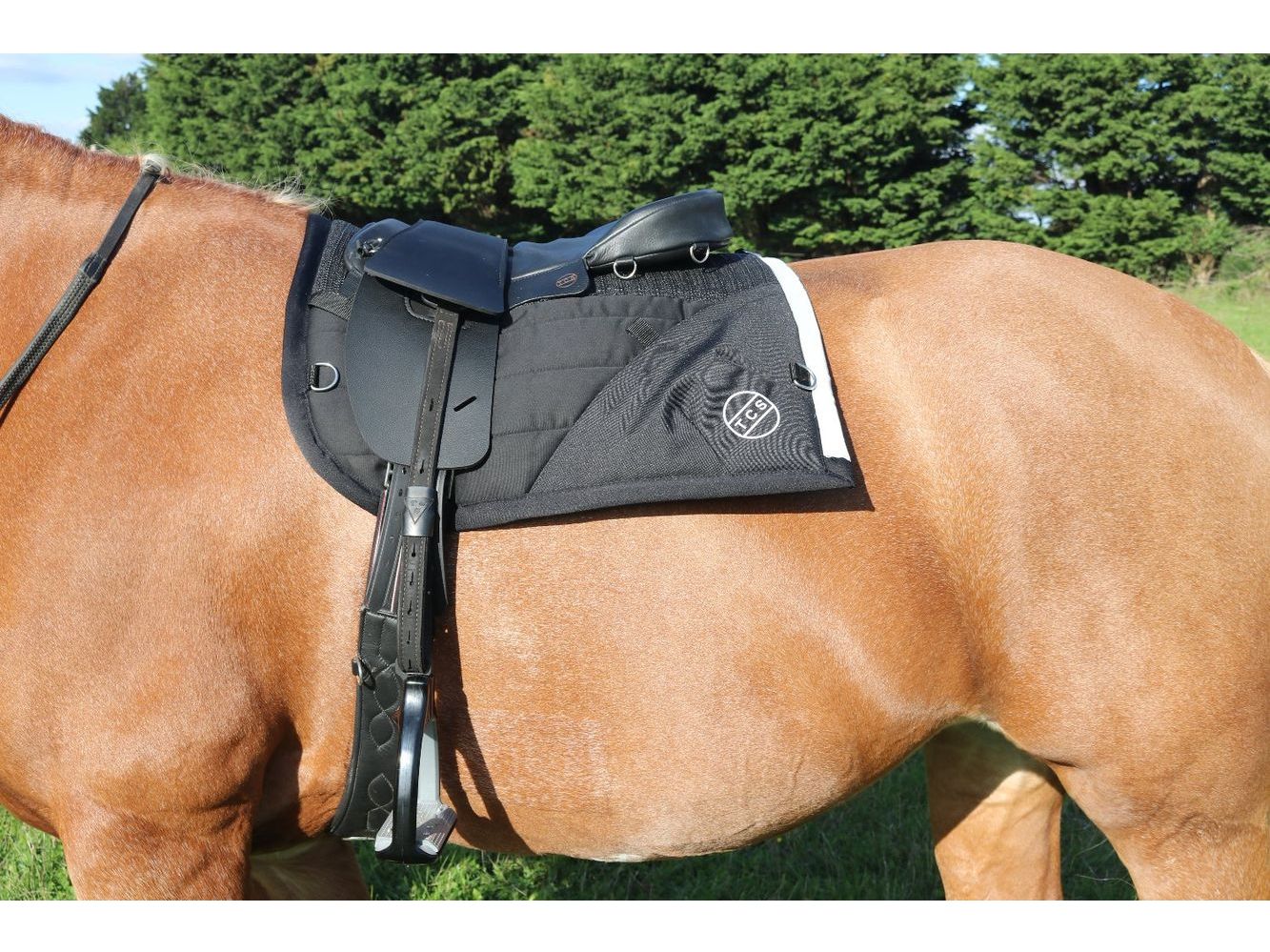 Saddle Seat Pad