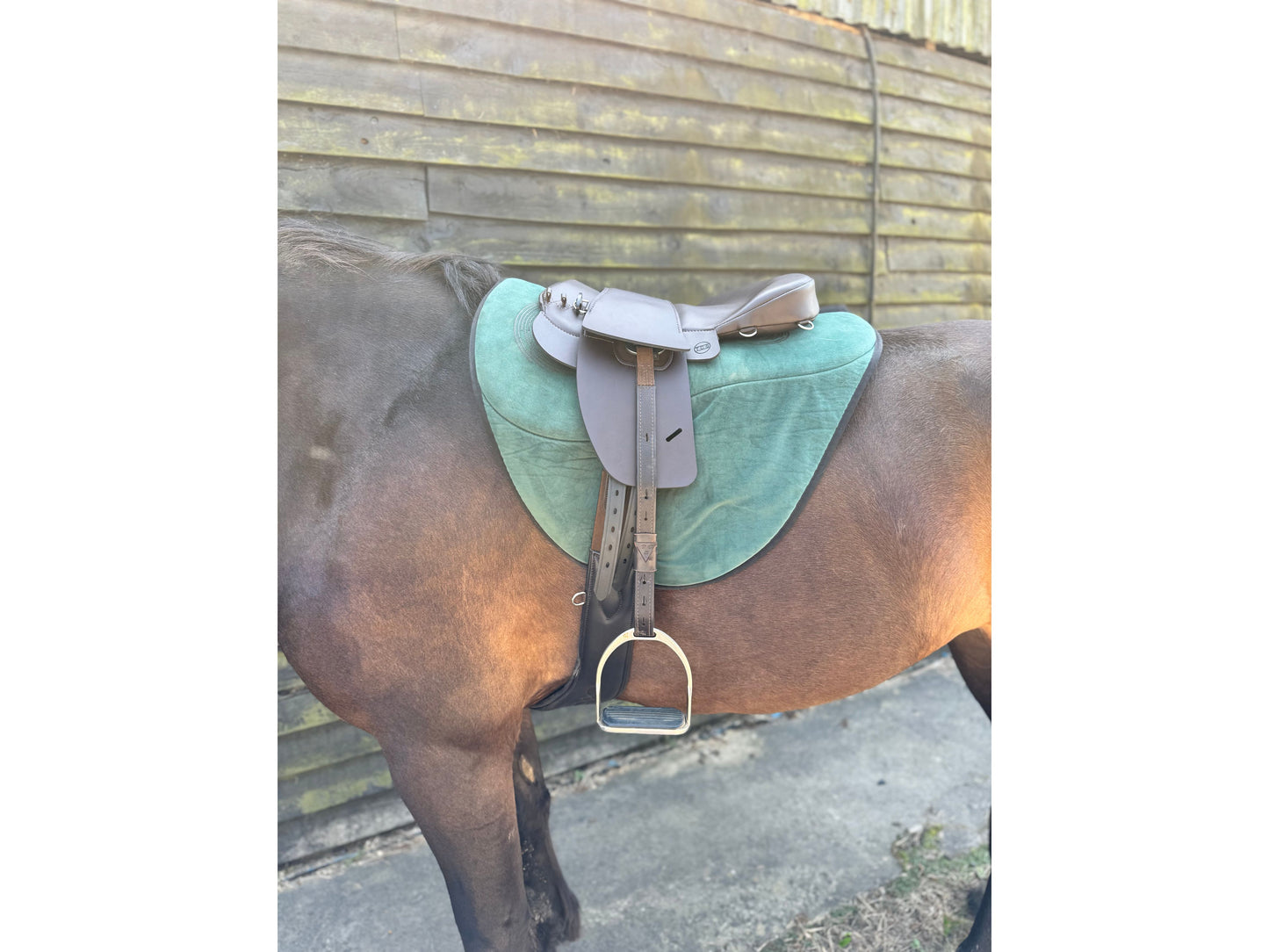 Saddle Seat Pad