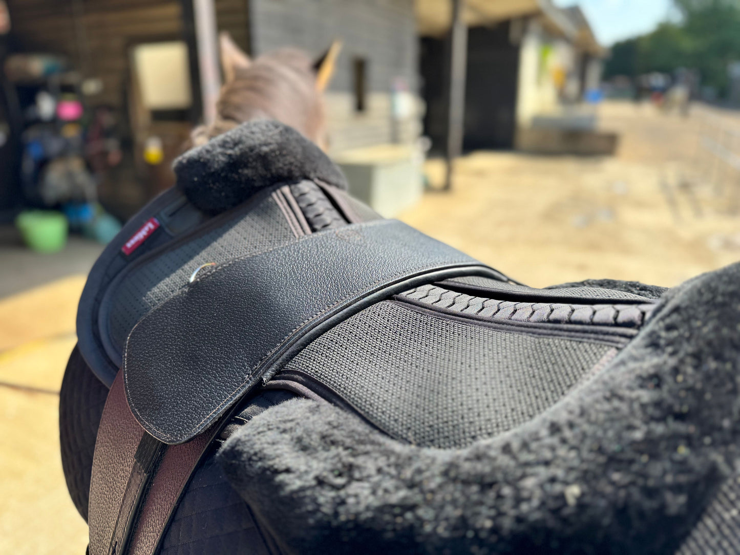 A Premium black TCS saddle seen from the top on a dark bay horse with black TCS Webbers on a black saddle pad and black half pad