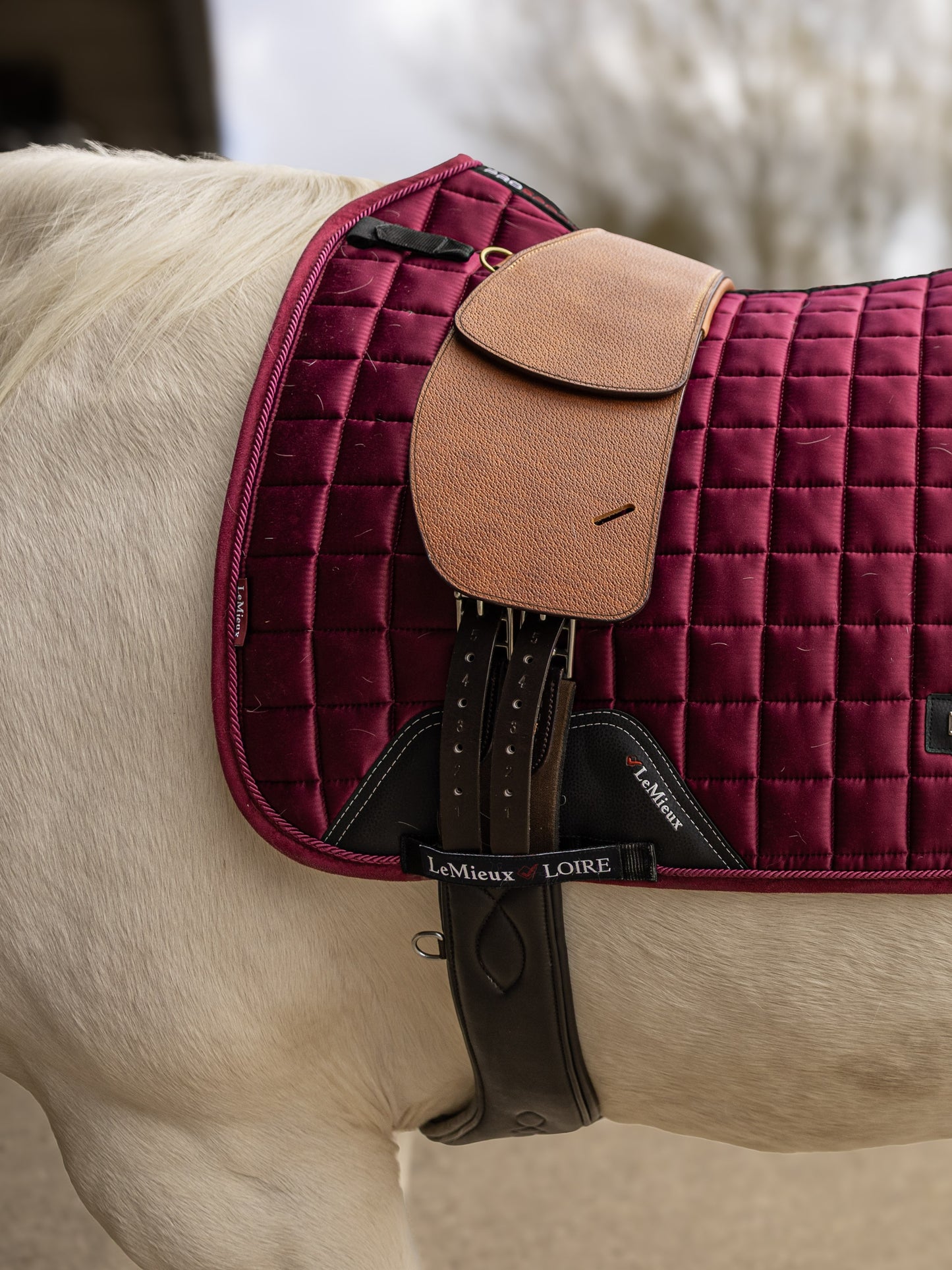 Treeless Premium Total Contact Saddle