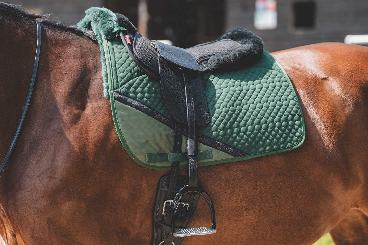 Treeless Premium Total Contact Saddle
