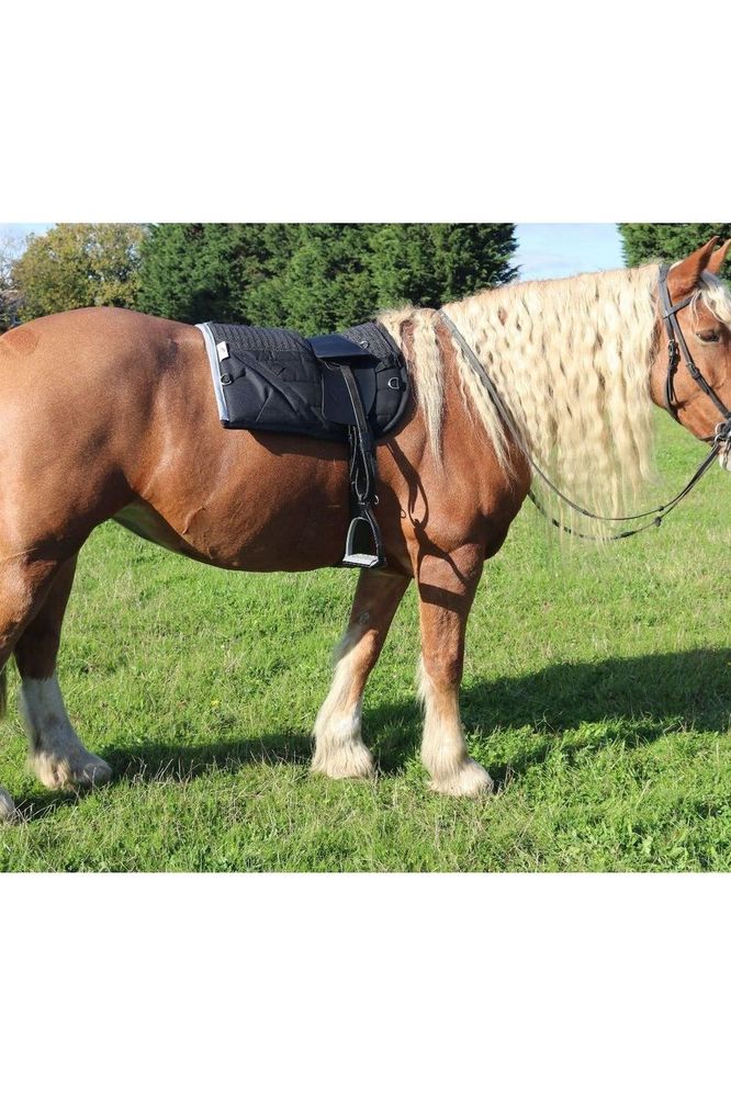 A palomino horse with a long wavy mane standing in a field and wearing a black saddle pad and saddled with a black synthetic total contact saddle
