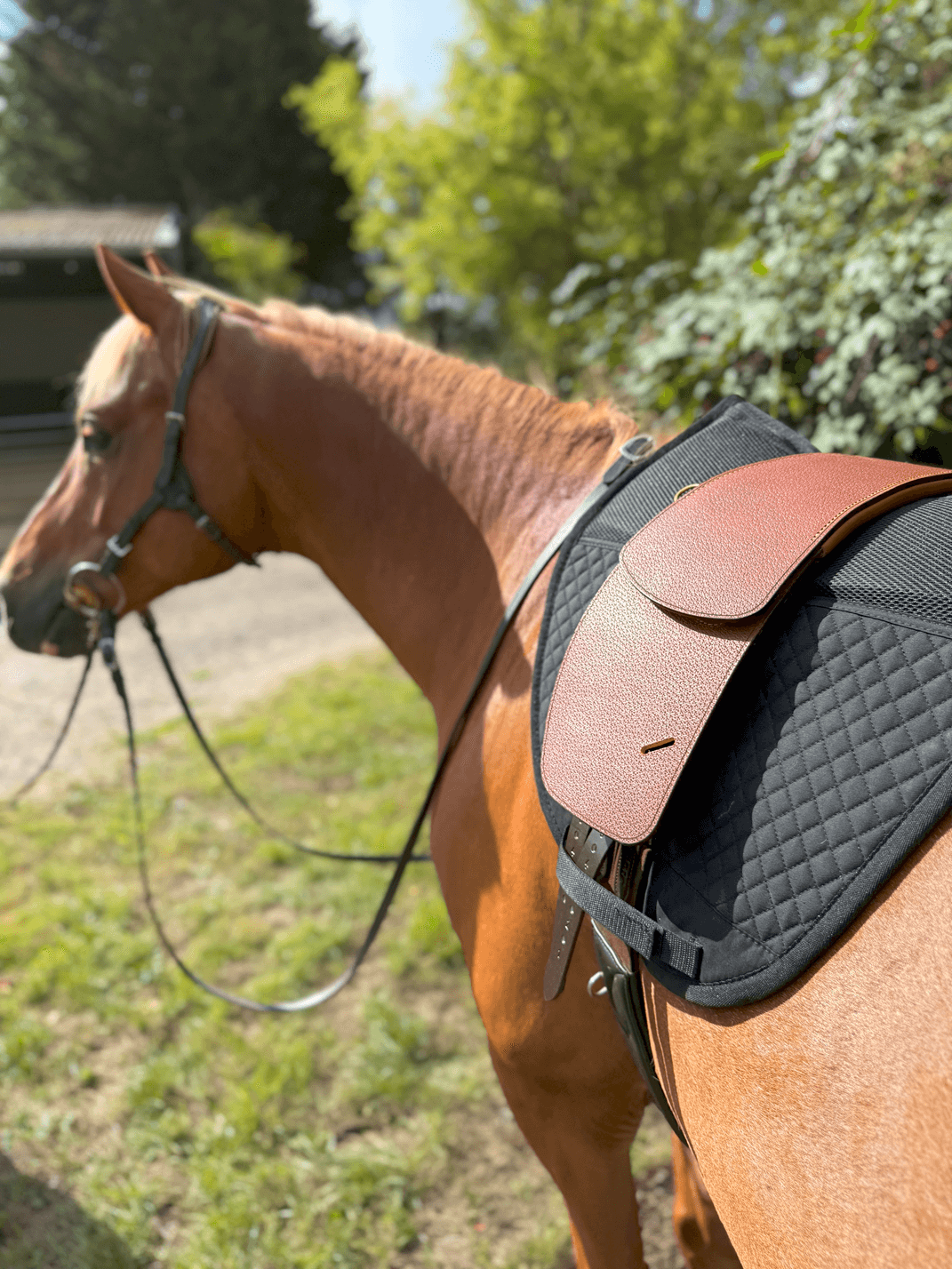 Treeless Premium Total Contact Saddle