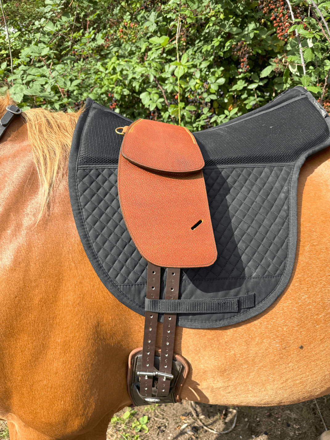 Ex-Trial Treeless Total Contact Saddles