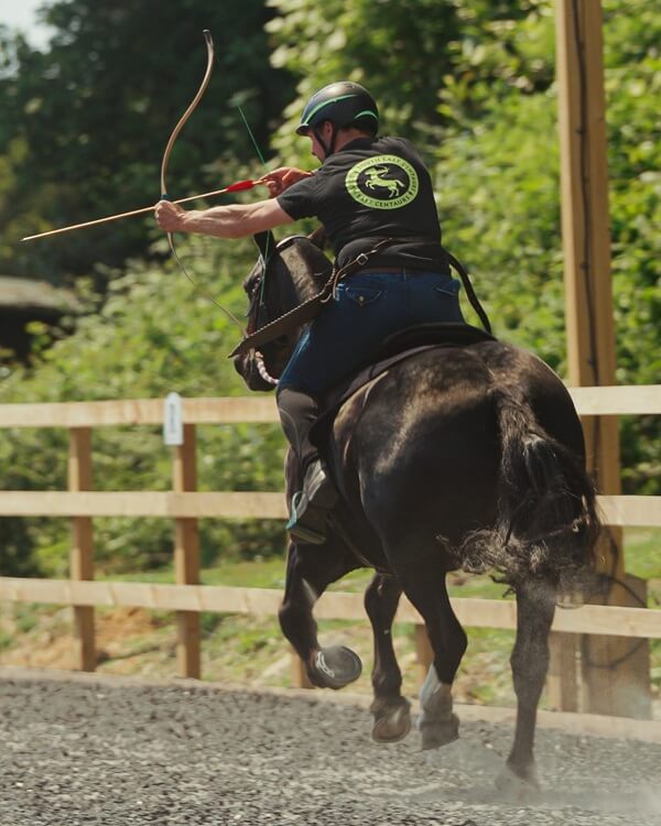 Treeless Premium Total Contact Saddle