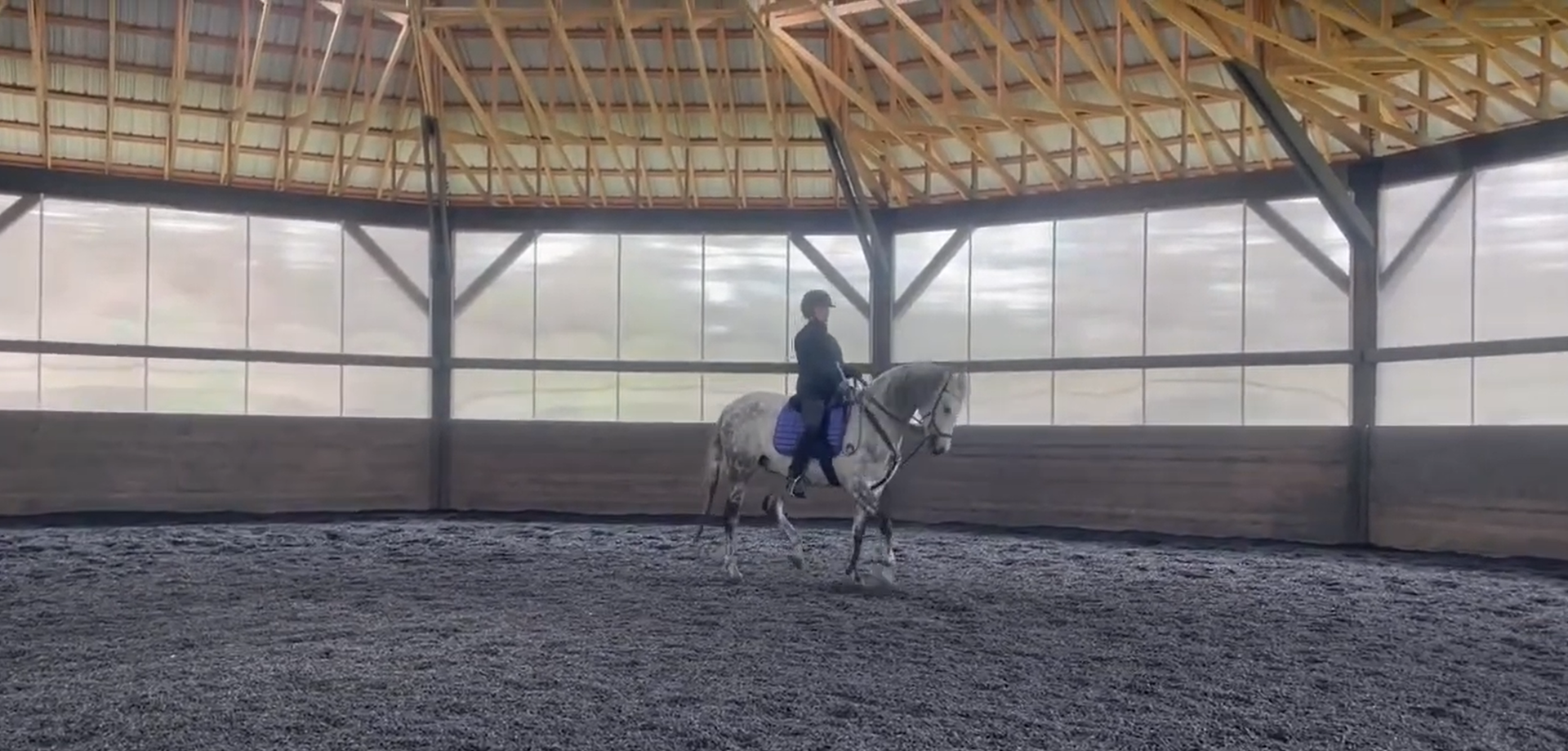 Load video: Arabian Dressage Horse using a Total Contact treeless Saddle