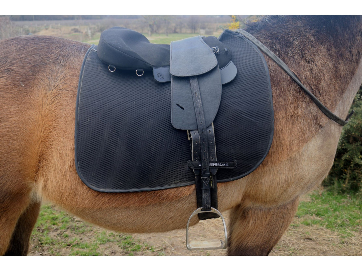 Saddle Seat Pad