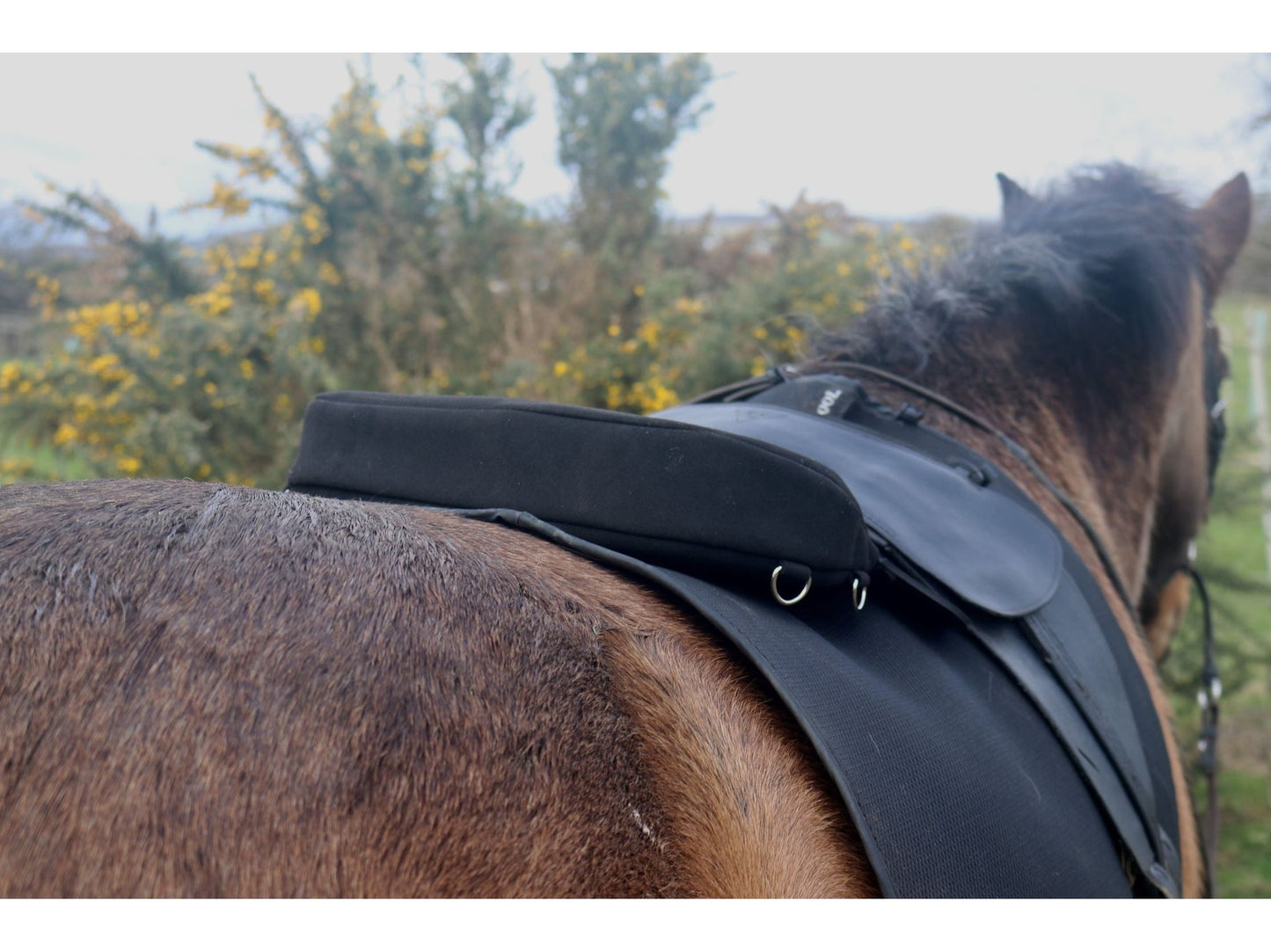 Saddle Seat Pad