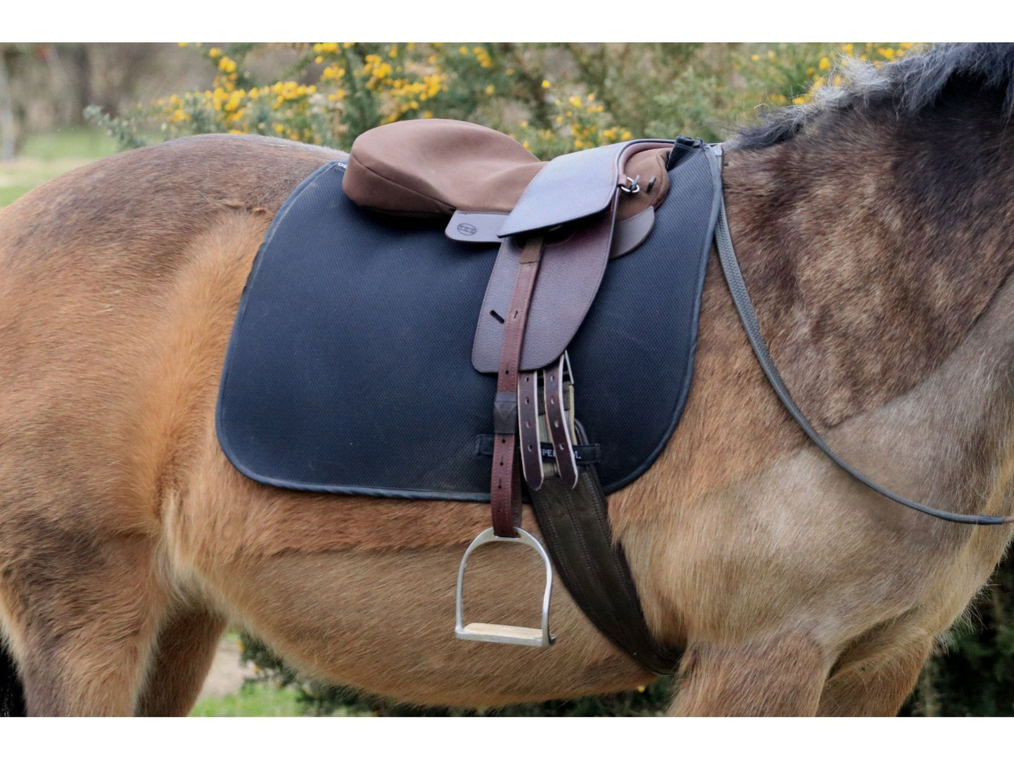 Saddle Seat Pad