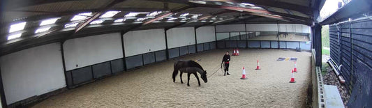 You Can’t Sit a Strong Back Into a Horse