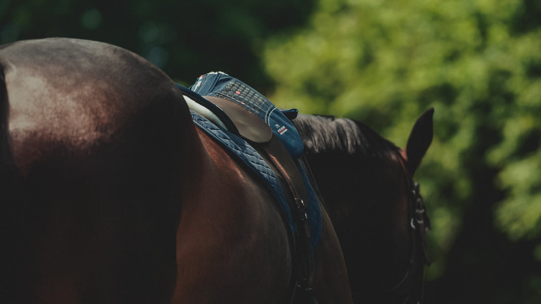 The Benefits of a Total Contact Treeless Saddle for Horses