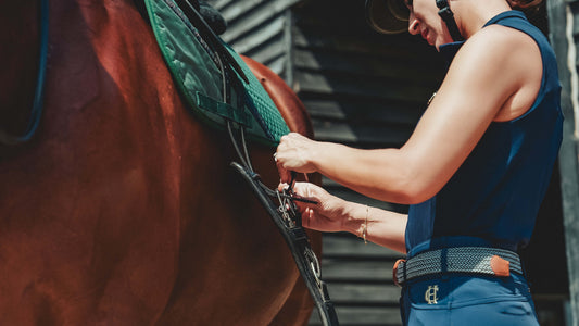 Why Over-Tightening a Girth Is Bad for Your Horse (And What the Science Says)