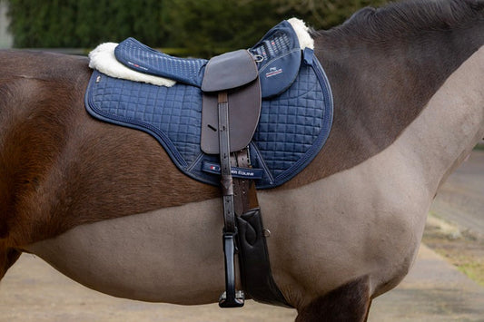 Saddle Fitting and Equine Back Health: Preventing Soreness and Long-Term Damage