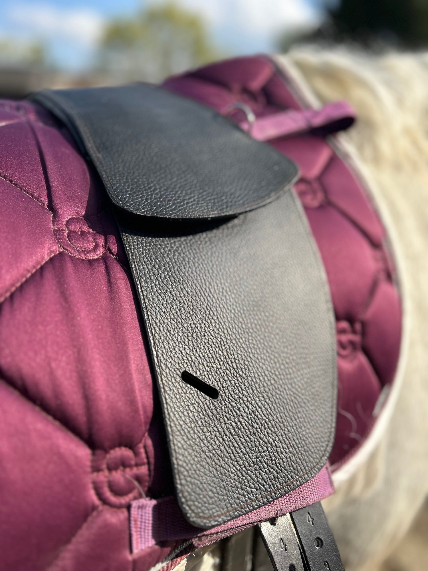 Saddles
