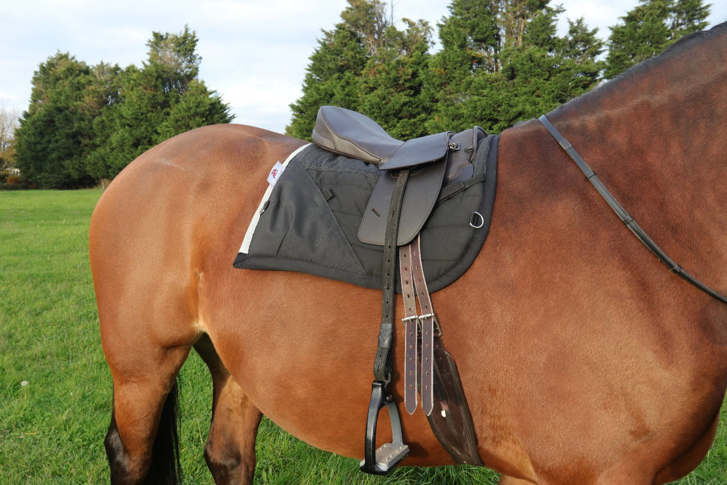 Classic Total Contact Saddle and Premium Leather Saddle Seat Set