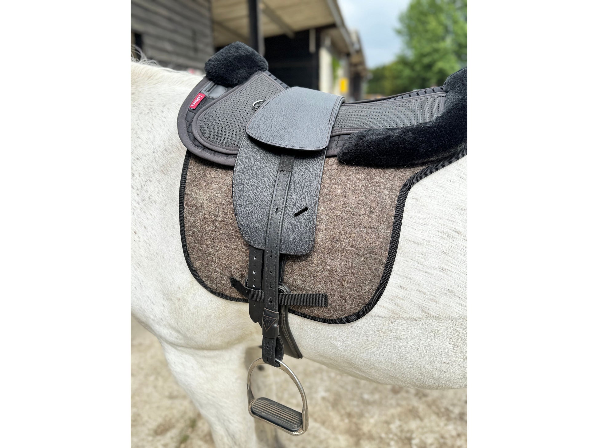 A Classic black TCS treeless saddle with back TCS Webbers stirrup leathers, iron stirrups on a grey horse wearing a felt saddle pad and a black half pad