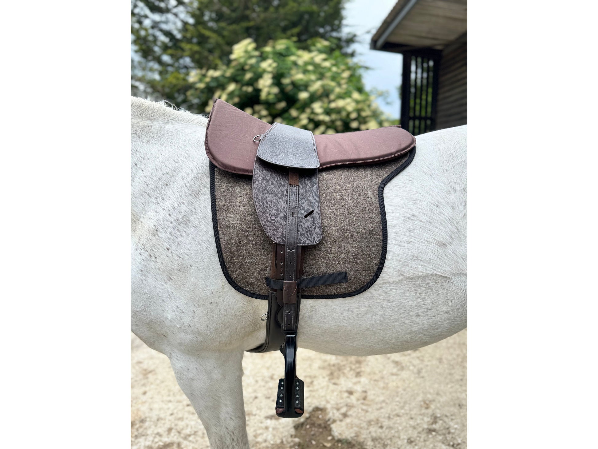 A classic havana brown short billet TCS saddle with brown TCS webbers on a grey horse wearing a felt saddle pad and a brown half pad