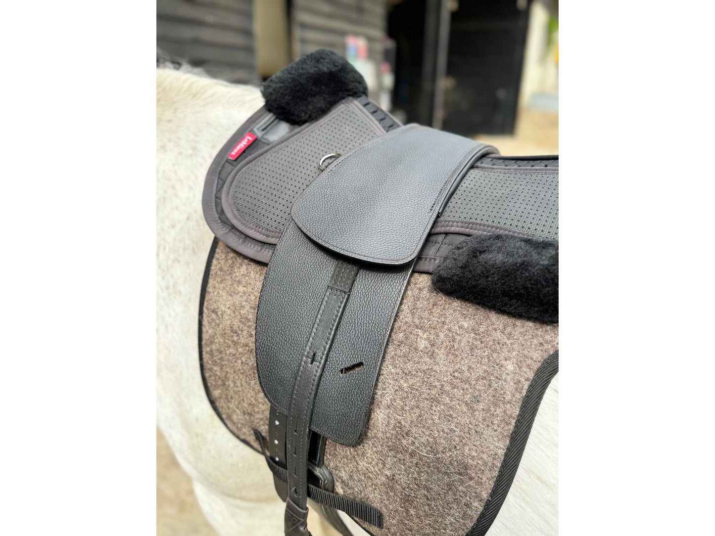 A classic jet black short billet TCS saddle with black TCS webbers on a grey horse wearing a felt saddle pad and a black half pad