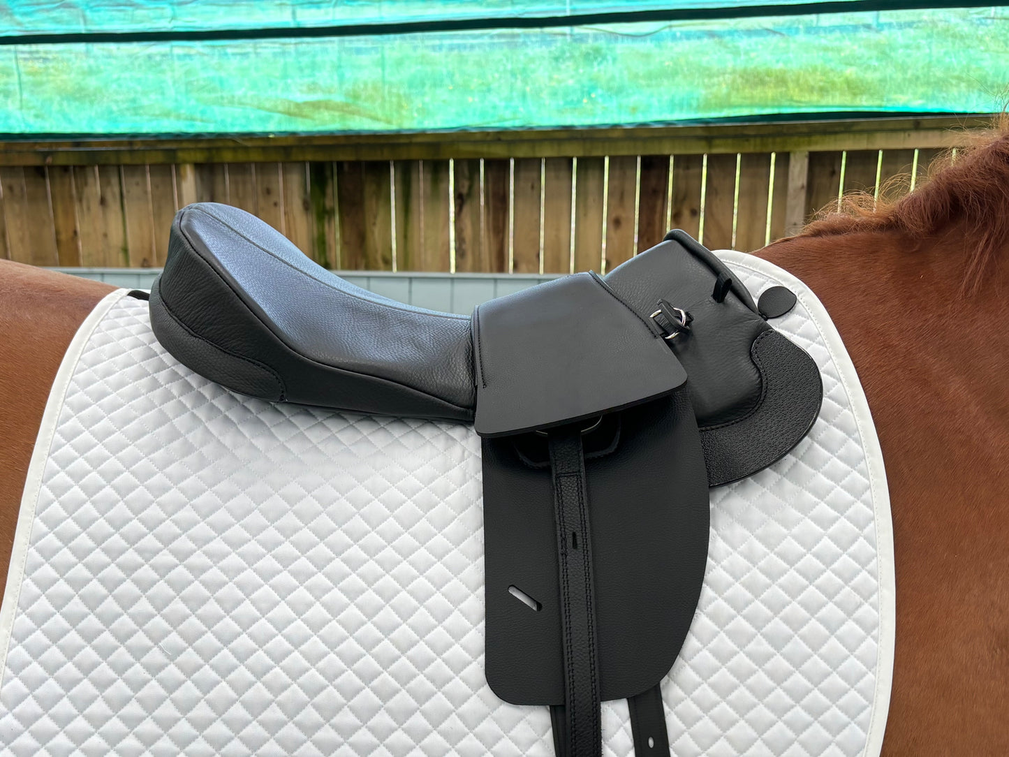 Classic Total Contact Saddle and Premium Leather Saddle Seat Set