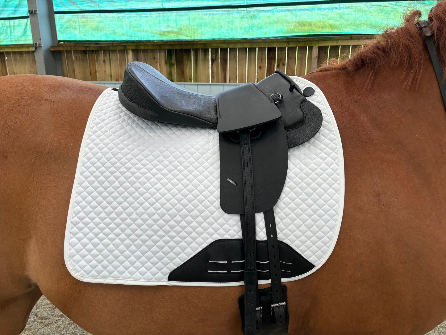 Premium Leather Saddle Seat for your Total Contact Saddle