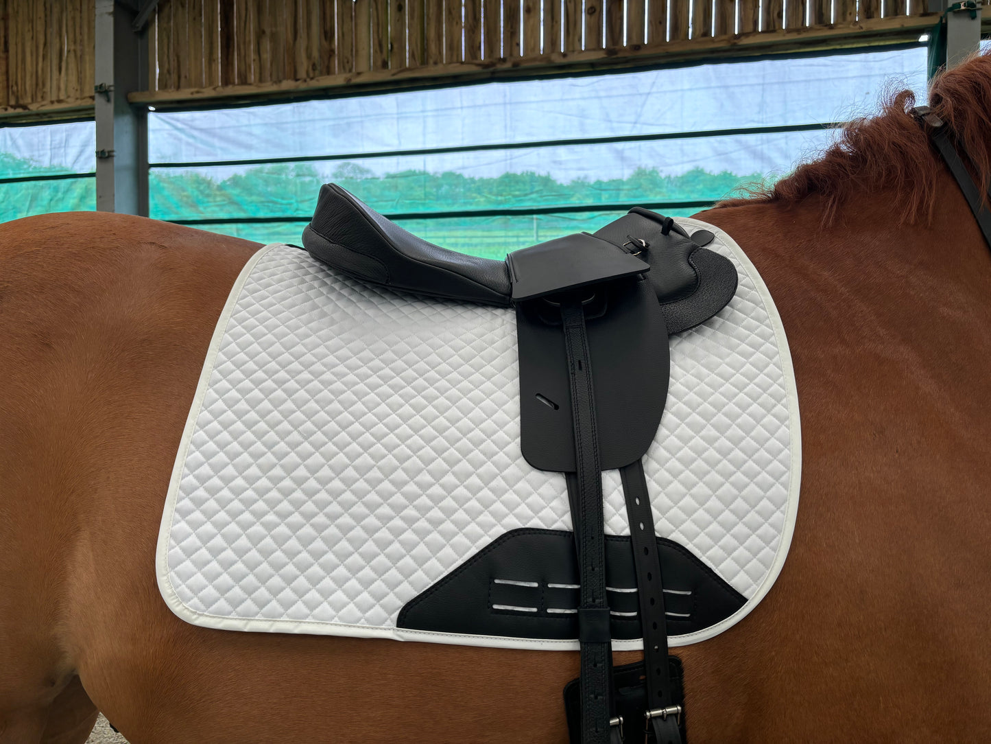 Premium Leather Saddle Seat for your Total Contact Saddle