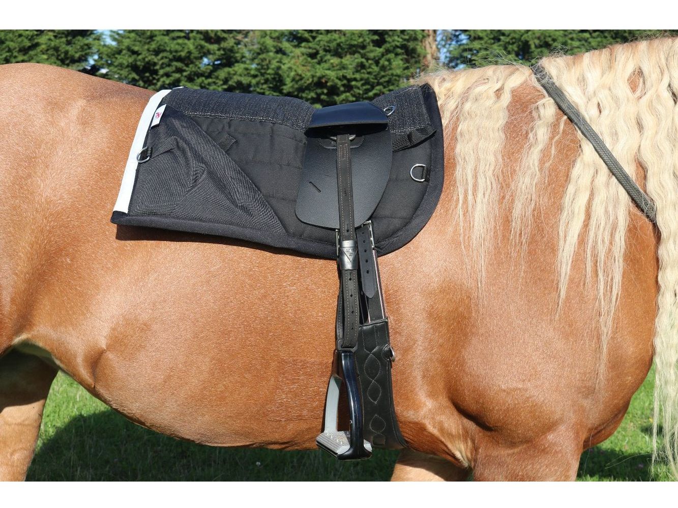 Synthetic (Vegan) Total Contact Saddle