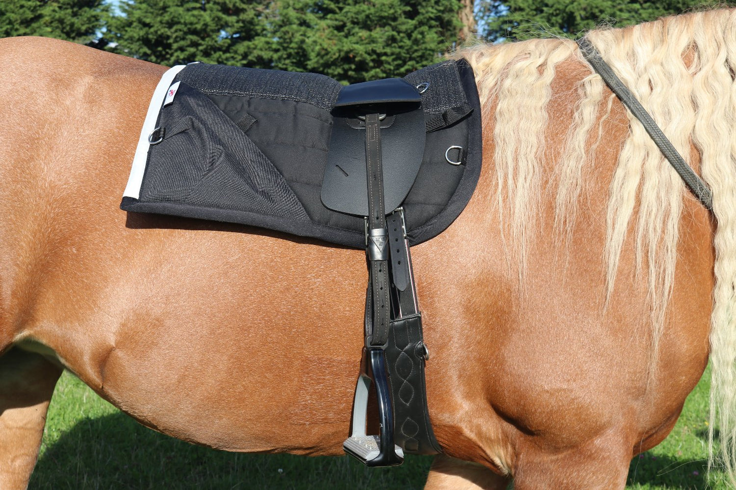 Synthetic Black Total Contact Saddle