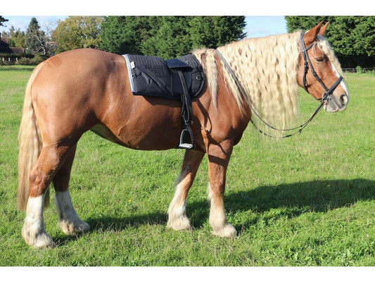 Synthetic (Vegan) Total Contact Saddle