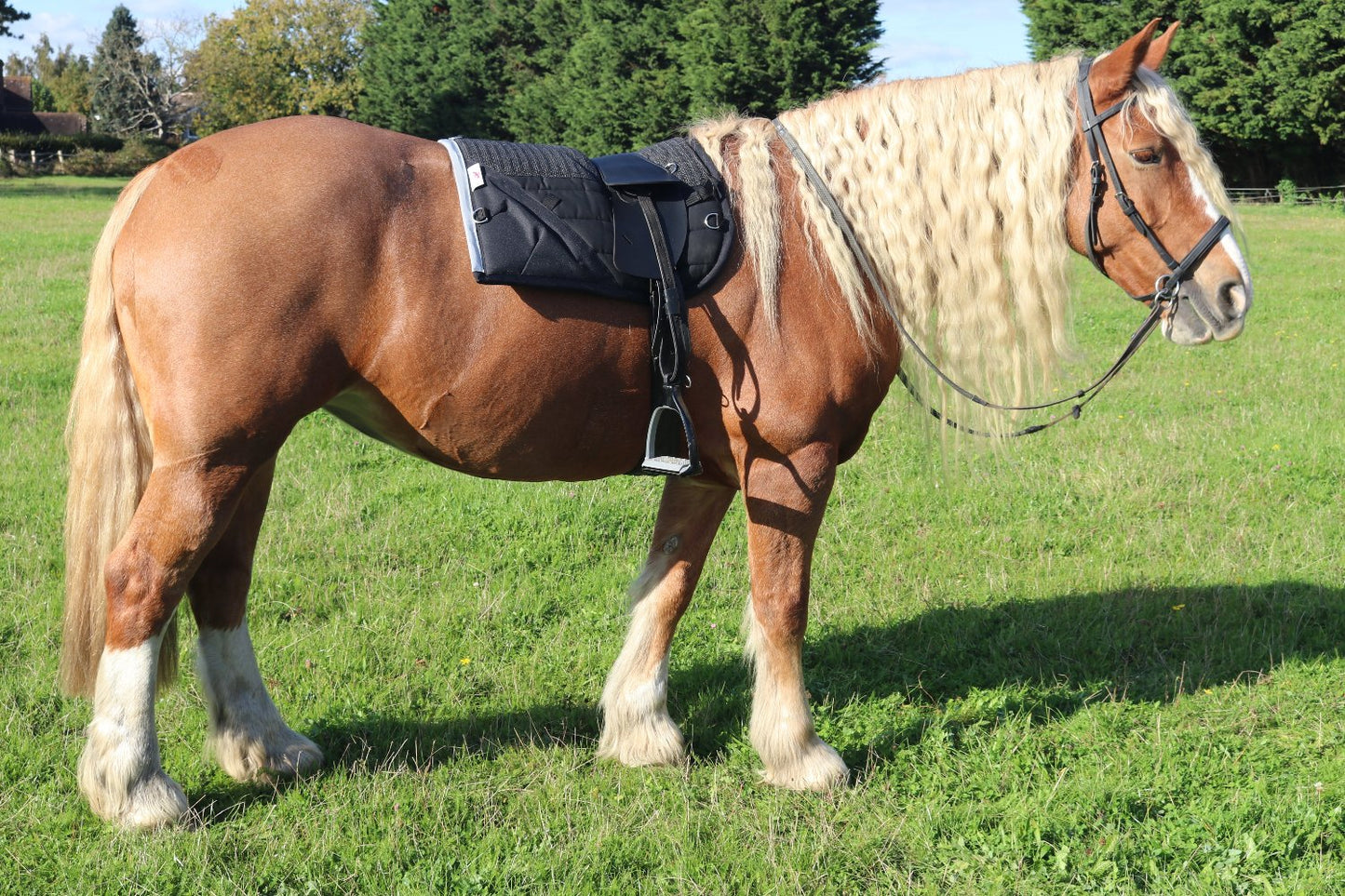 Synthetic Black Total Contact Saddle