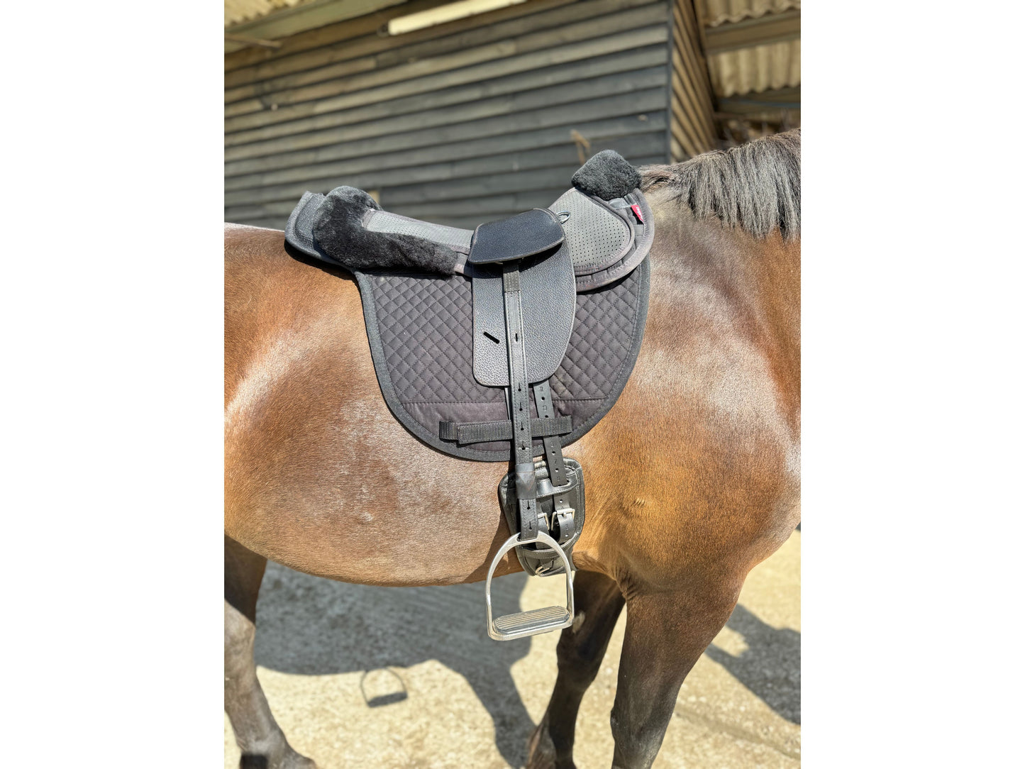 Premium Total Contact Saddle