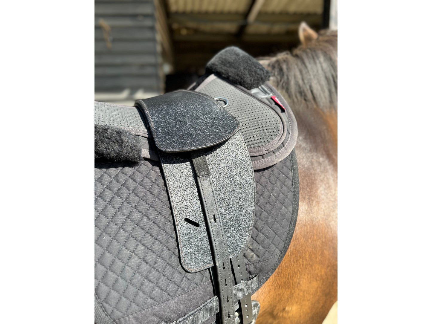 Premium Total Contact Saddle