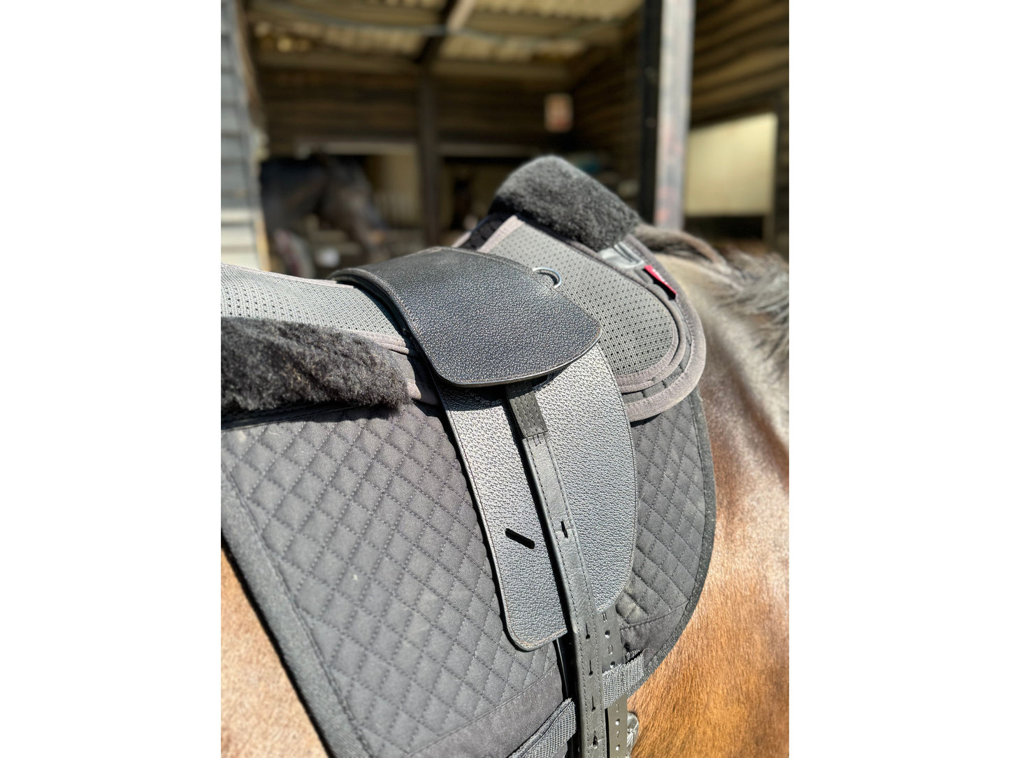 Premium Total Contact Saddle