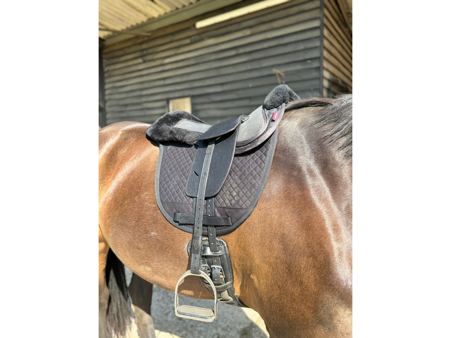 Premium Total Contact Saddle