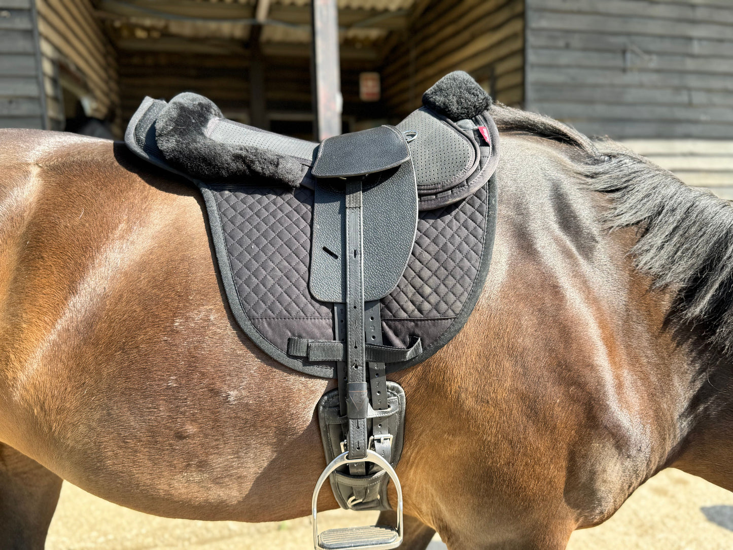 Premium Total Contact Saddle
