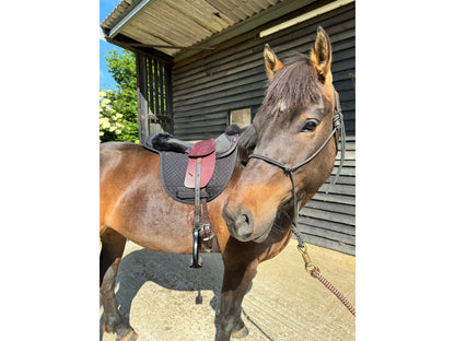 Premium Total Contact Saddle