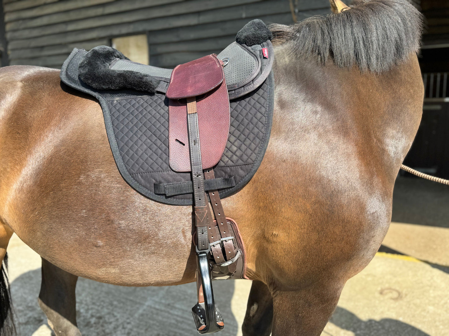 Premium Total Contact Saddle