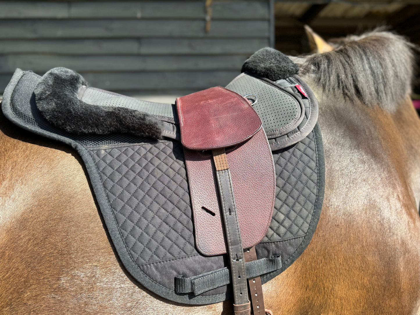 Premium Total Contact Saddle