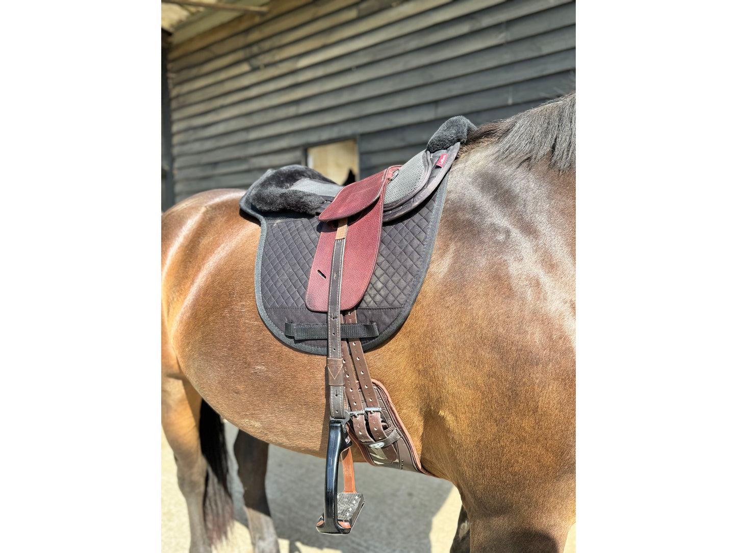 Premium Total Contact Saddle