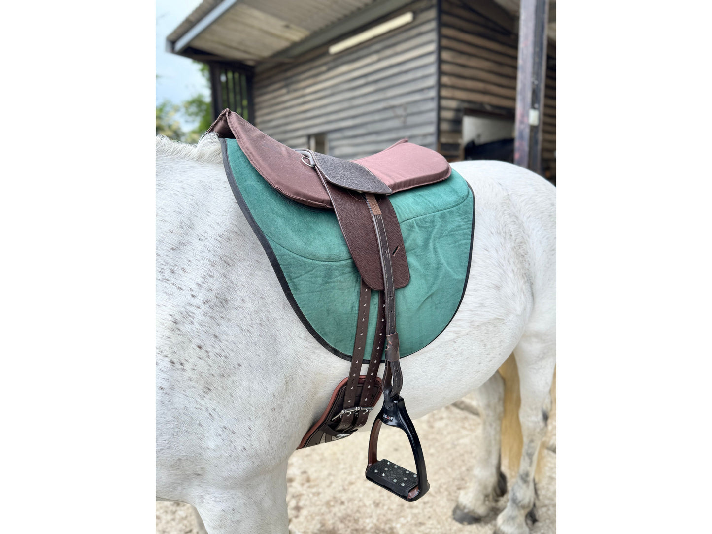 Classic Total Contact Saddle