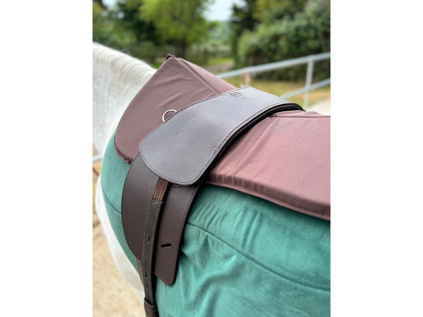 Classic Total Contact Saddle