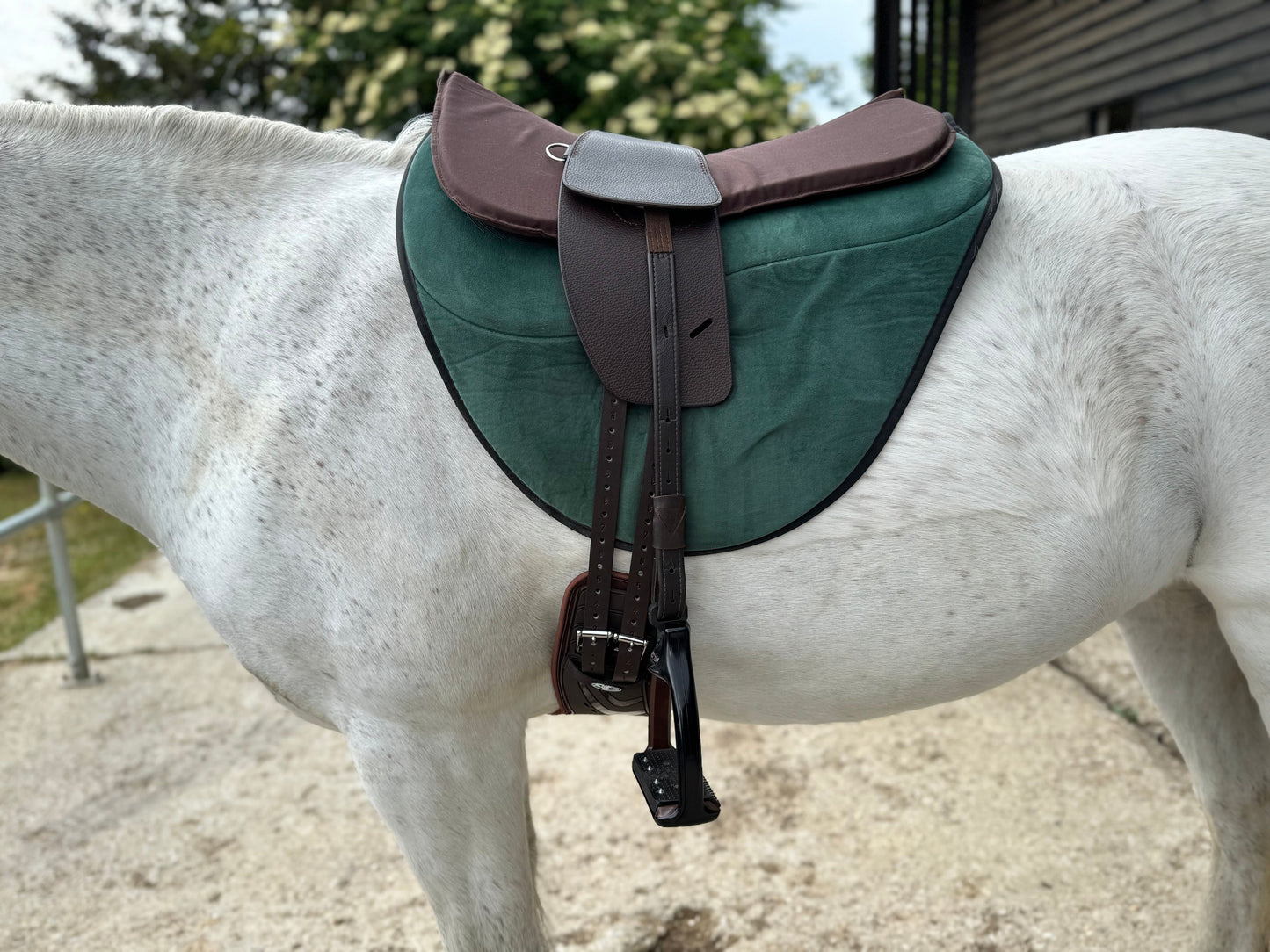 Classic Total Contact Saddle