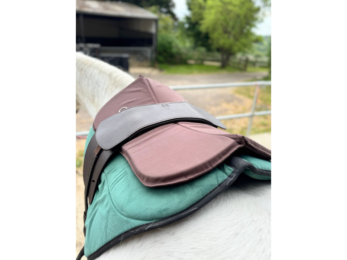 Classic Total Contact Saddle