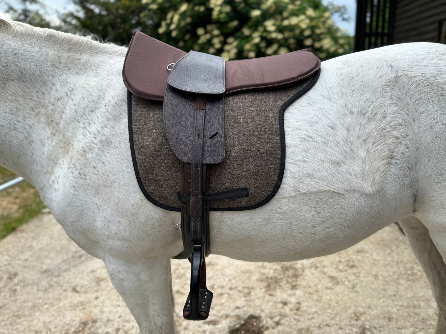 Classic Total Contact Saddle