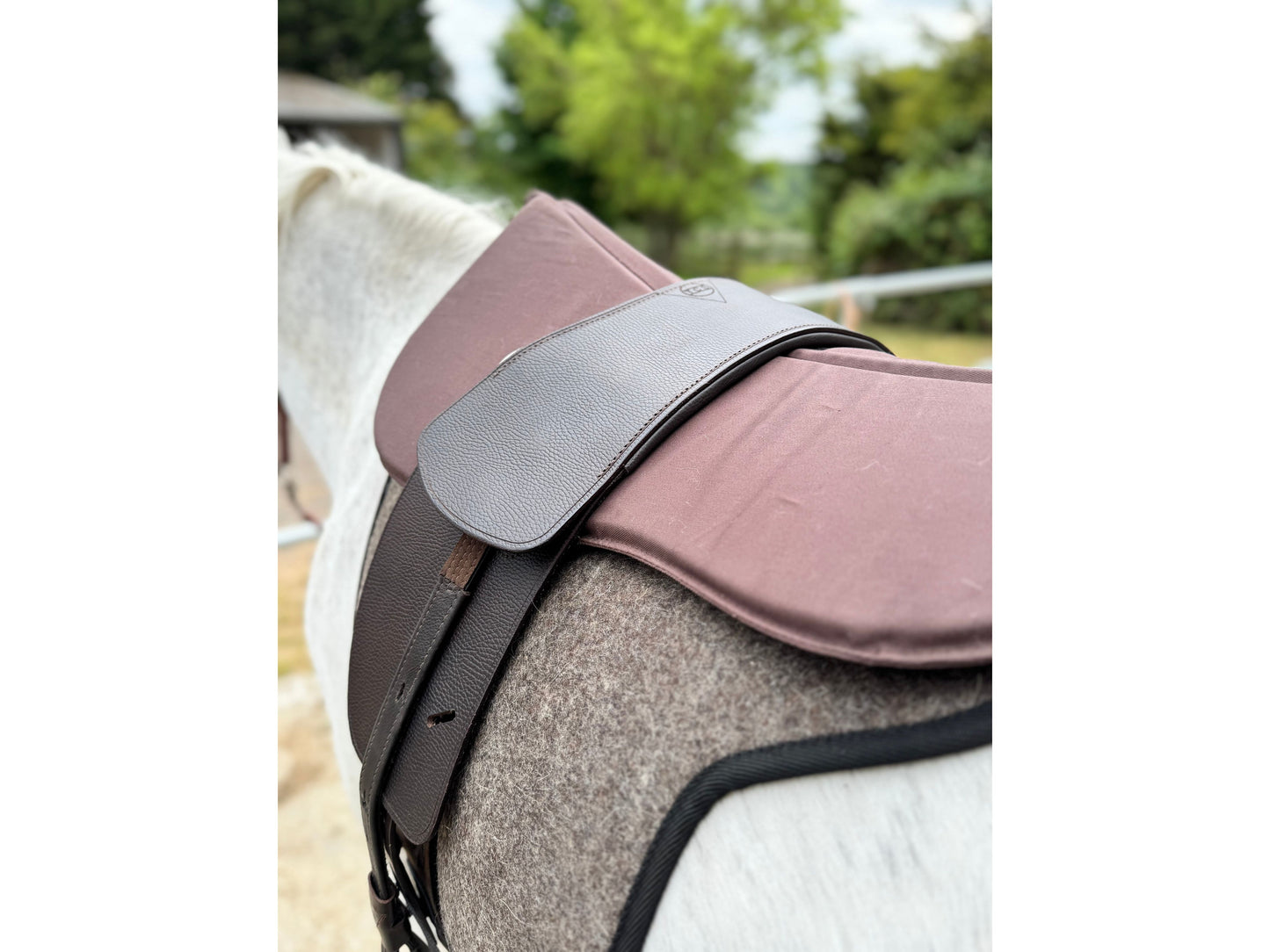 Classic Total Contact Saddle