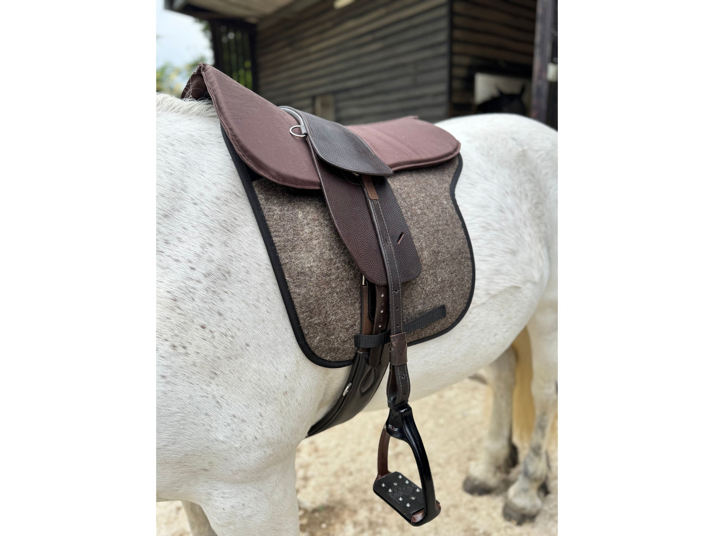 Classic Total Contact Saddle