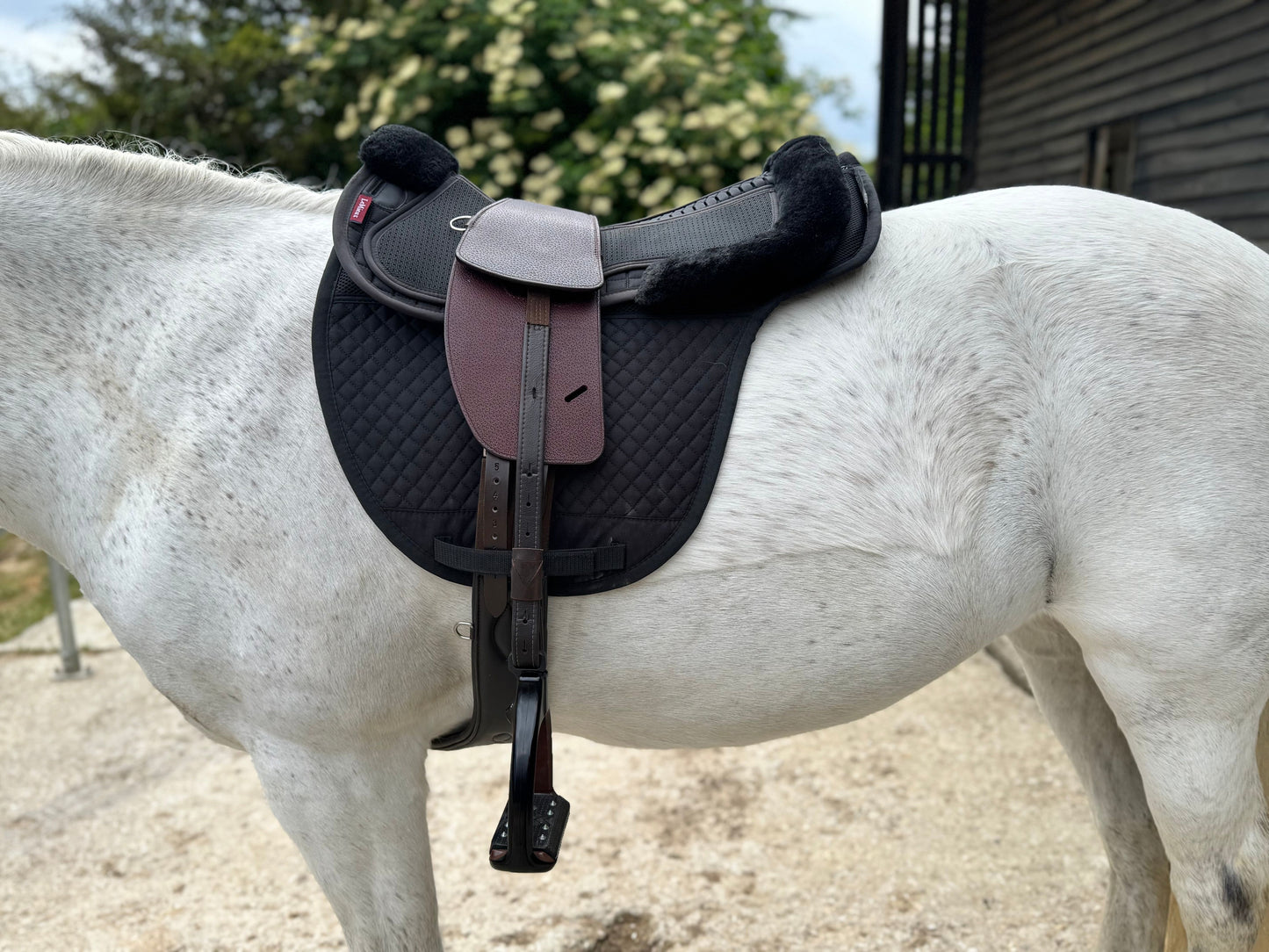 Premium Total Contact Saddle
